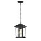Z-Lite Portland 1 Light Outdoor Chain Light, Black & Clear Beveled 531CHM-BK - alternate 1